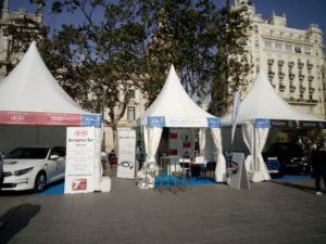 stand lugenergy movements valencia