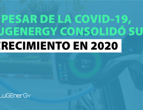 Crecimiento de LugEnergy en 2020
